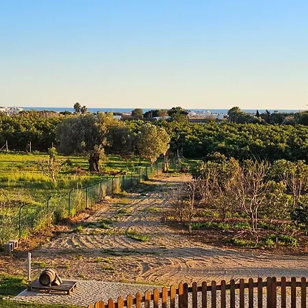 Quinta Da Bornacha - Casa A *