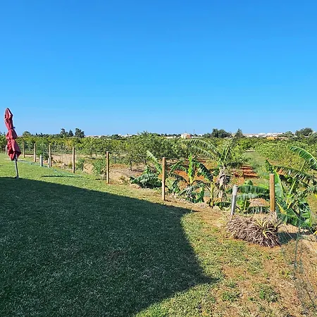 Quinta Da Bornacha - Casa A *