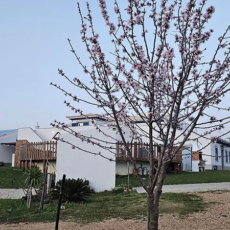 Quinta Da Bornacha - Casa A