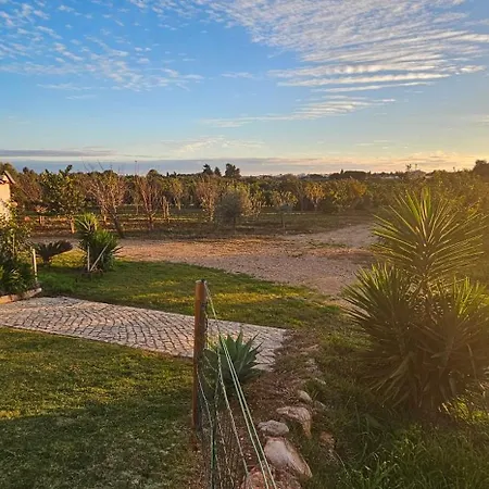 Quinta Da Bornacha - Casa A *