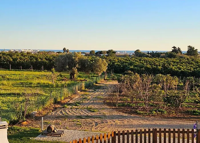 Quinta Da Bornacha - Casa A *